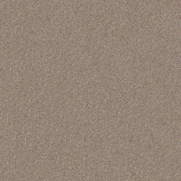 Shaw Floors Carpet Canyon Lake Cool Mist 0152B_5E830