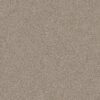 Shaw Floors Carpet Canyon Lake Eclipse 0153B_5E830