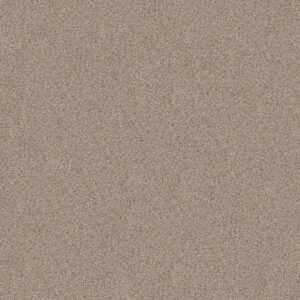 Shaw Floors Carpet Canyon Lake Eclipse 0153B_5E830