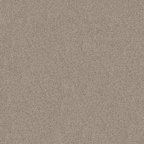 Shaw Floors Carpet Canyon Lake Eclipse 0153B_5E830