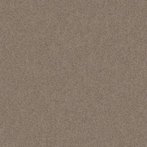 Shaw Floors Carpet Canyon Lake Mesa Taupe 0154B_5E830