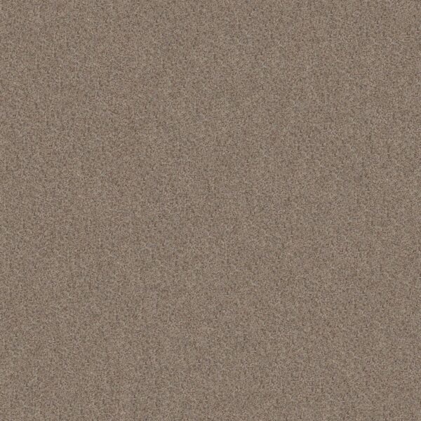 Shaw Floors Carpet Canyon Lake Mesa Taupe 0154B_5E830