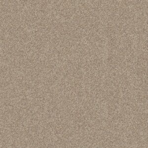 Shaw Floors Carpet Canyon Lake Calm Ivory 0172B_5E830