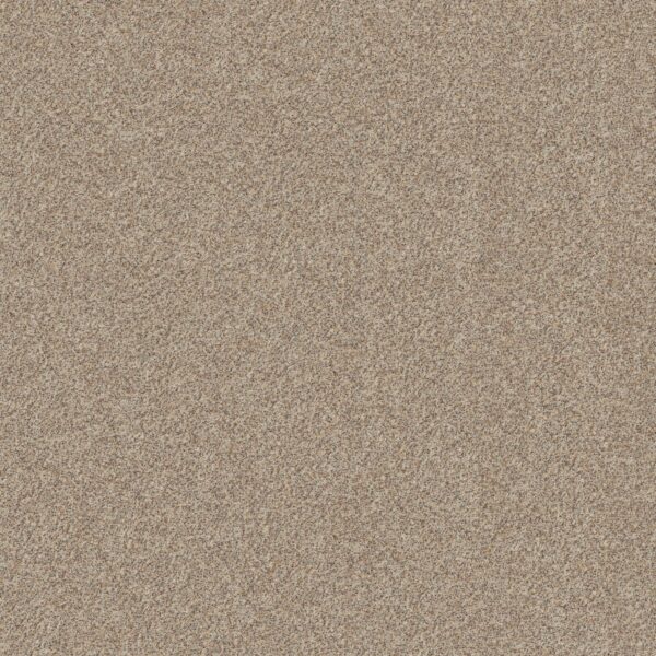 Shaw Floors Carpet Canyon Lake Calm Ivory 0172B_5E830