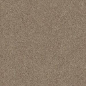 Shaw Floors Carpet Canyon Lake Sheffield 0173B_5E830