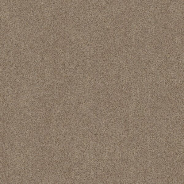 Shaw Floors Carpet Canyon Lake Sheffield 0173B_5E830