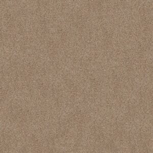 Shaw Floors Carpet Canyon Lake Dogwood 0211B_5E830
