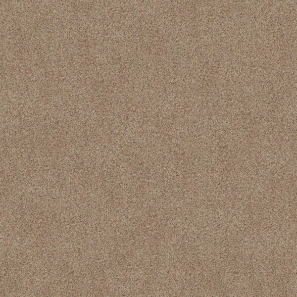 Shaw Floors Carpet Canyon Lake Dogwood 0211B_5E830