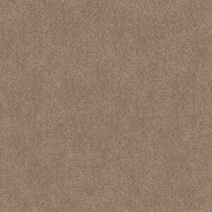 Shaw Floors Carpet Canyon Lake Crushed Pearl 0212B_5E830