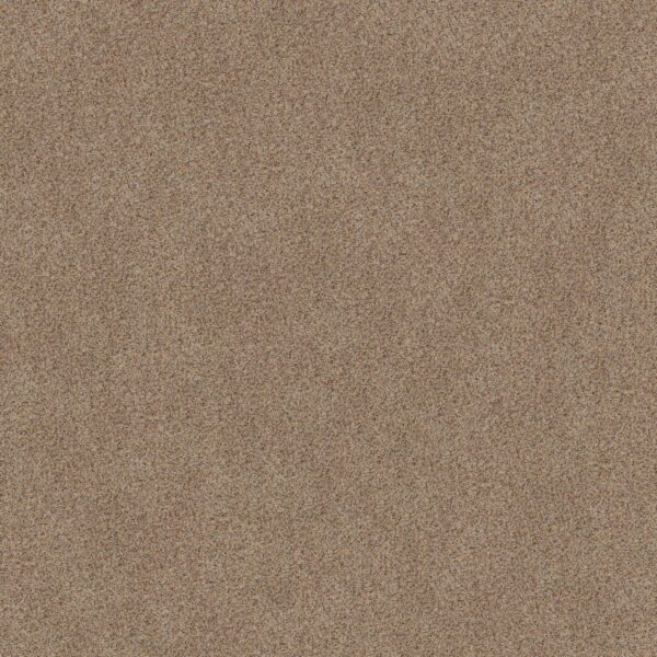 Shaw Floors Carpet Canyon Lake Crushed Pearl 0212B_5E830