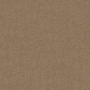 Shaw Floors Carpet Canyon Lake Terrazzo 0213B_5E830