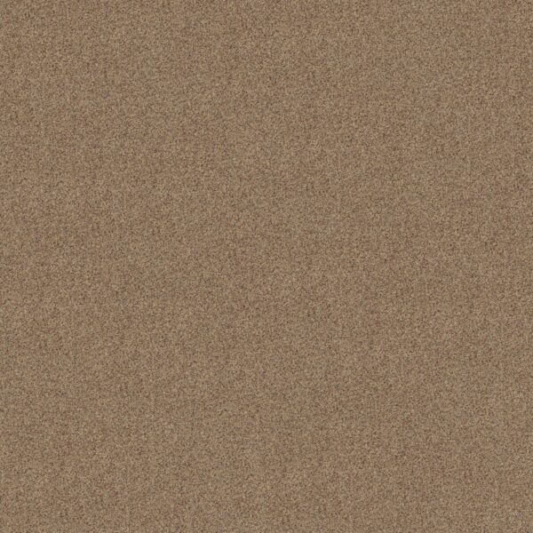 Shaw Floors Carpet Canyon Lake Terrazzo 0213B_5E830