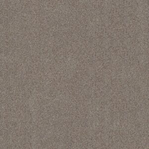 Shaw Floors Carpet Canyon Lake Distant Star 0543B_5E830