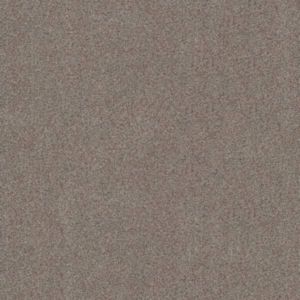 Shaw Floors Carpet Canyon Lake Distant Star 0543B_5E830