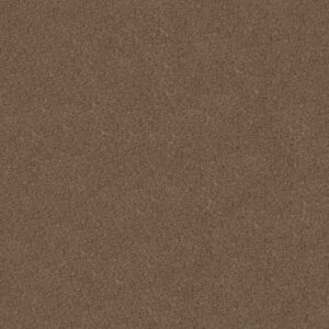 Shaw Floors Carpet Canyon Lake Stone Age 0575B_5E830