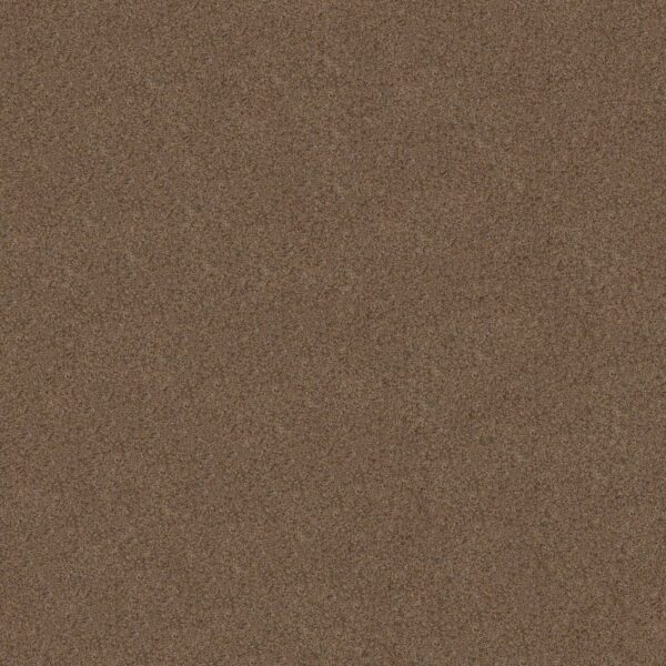 Shaw Floors Carpet Canyon Lake Stone Age 0575B_5E830