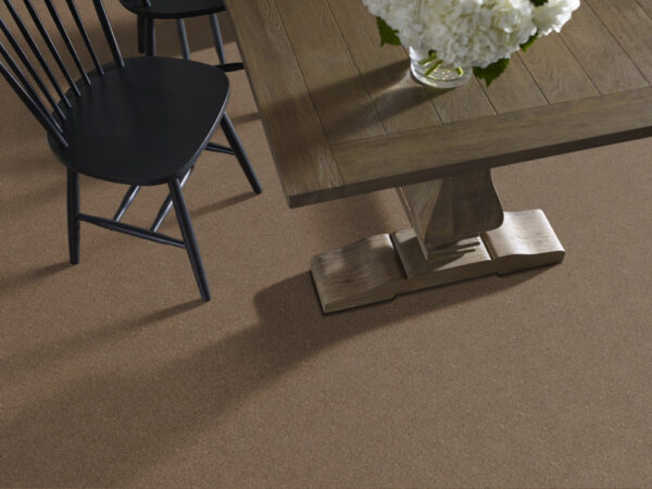Shaw Floors Carpet Canyon Lake Stone Age 0575B_5E830 - Image 2