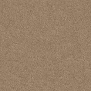 Shaw Floors Carpet Canyon Lake Basic Tan 0722B_5E830