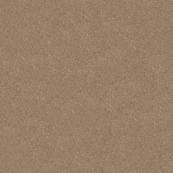 Shaw Floors Carpet Canyon Lake Basic Tan 0722B_5E830