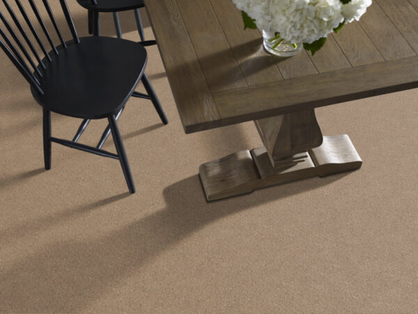 Shaw Floors Carpet Canyon Lake Basic Tan 0722B_5E830 - Image 2