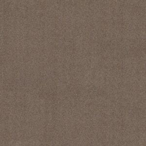 Shaw Floors Carpet Canyon Lake Granite 0754B_5E830
