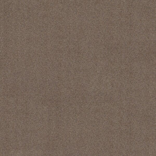 Shaw Floors Carpet Canyon Lake Granite 0754B_5E830