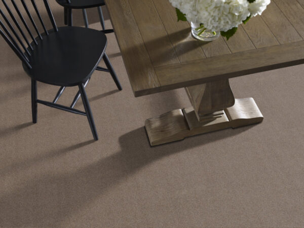 Shaw Floors Carpet Canyon Lake Granite 0754B_5E830 - Image 2