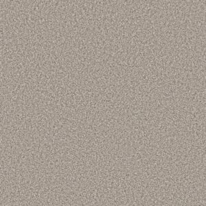 Shaw Floors Carpet Prescott Valley Shoreline Haze 00112_5E831