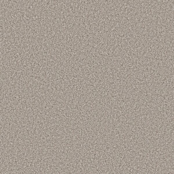 Shaw Floors Carpet Prescott Valley Shoreline Haze 00112_5E831