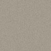 Shaw Floors Carpet Prescott Valley Misty Dawn 00151_5E831