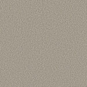 Shaw Floors Carpet Prescott Valley Misty Dawn 00151_5E831