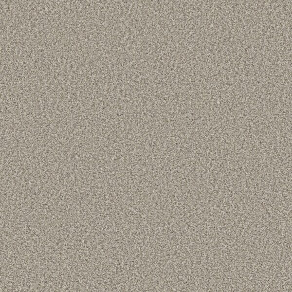 Shaw Floors Carpet Prescott Valley Misty Dawn 00151_5E831