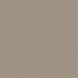 Shaw Floors Carpet Prescott Valley Spun Cotton 00172_5E831