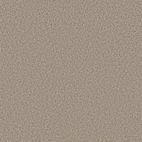 Shaw Floors Carpet Prescott Valley Spun Cotton 00172_5E831