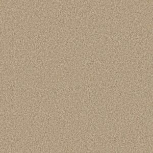 Shaw Floors Carpet Prescott Valley Beach Grass 00223_5E831