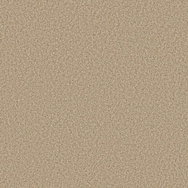 Shaw Floors Carpet Prescott Valley Beach Grass 00223_5E831