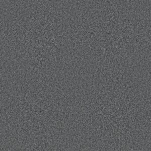 Shaw Floors Carpet Prescott Valley Mysterious 00456_5E831