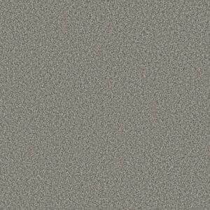 Shaw Floors Carpet Prescott Valley Chelsea Fog 00544_5E831