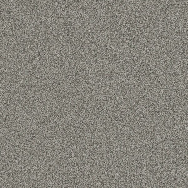 Shaw Floors Carpet Prescott Valley Chelsea Fog 00544_5E831