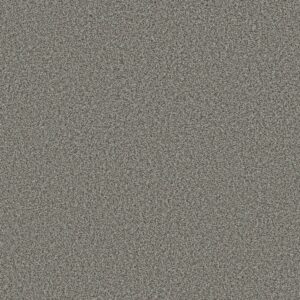 Shaw Floors Carpet Prescott Valley Lunar 00545_5E831