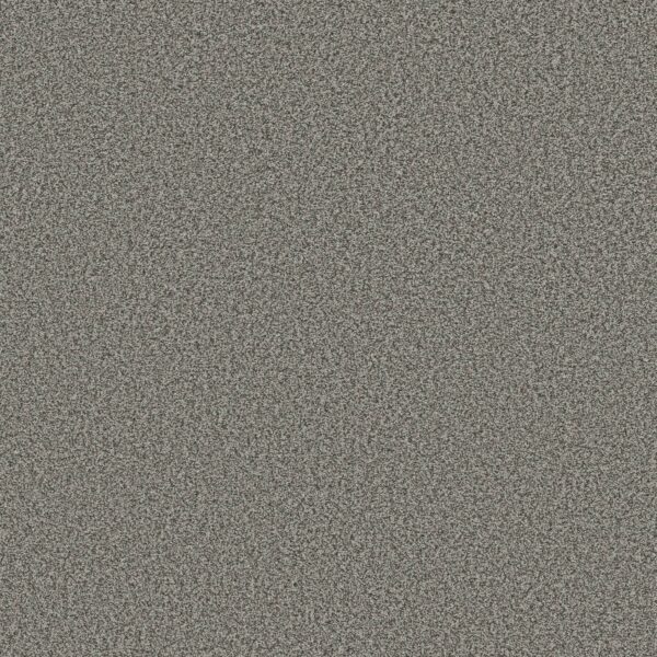 Shaw Floors Carpet Prescott Valley Lunar 00545_5E831