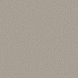 Shaw Floors Carpet Prescott Valley Platinum 00552_5E831