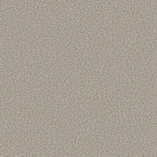 Shaw Floors Carpet Prescott Valley Platinum 00552_5E831