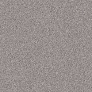 Shaw Floors Carpet Prescott Valley Gateway 00553_5E831