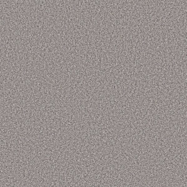 Shaw Floors Carpet Prescott Valley Gateway 00553_5E831