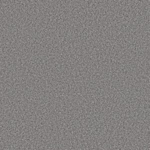 Shaw Floors Carpet Prescott Valley Metropolis 00554_5E831