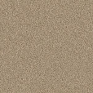 Shaw Floors Carpet Prescott Valley Potter's Clay 00623_5E831