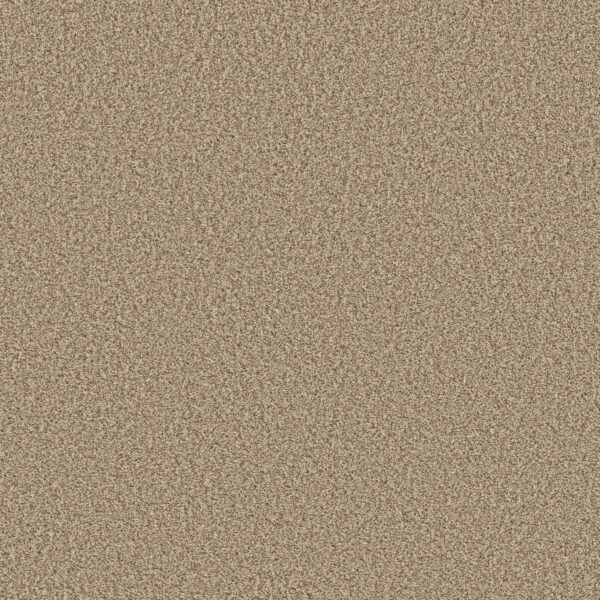Shaw Floors Carpet Prescott Valley Potter's Clay 00623_5E831