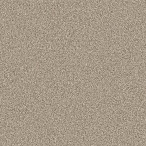 Shaw Floors Carpet Prescott Valley Meditation 00712_5E831