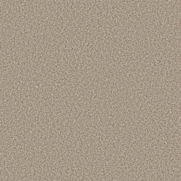Shaw Floors Carpet Prescott Valley Meditation 00712_5E831